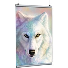 Arte Display Poster Tutucu Clamp 80CM 5li Paket