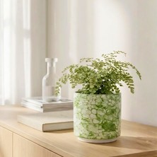 Homing Elora Serisi Seramik Orkide Tipi Saksı