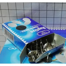 Düzey Sayox Nikel Raptiye