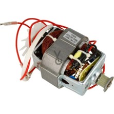 Ariete - Motor