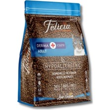 Trendy Pazars Somonlu Hipoyaerjenik Yetişkin Kedi Maması 1 kg