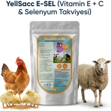 Yıldem Yılsac Evit Sel C 100  Gr(Tüm Kanatlıhayvanlar ve  Küçükbaş Hayvanlar  Için)