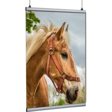 Arte Display Poster Tutucu Clamp 120CM 5li Paket