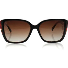 U.s. Polo Assn. U.s.p.a. 0456 C3 55-17-145 Güneş Gözlüğü
