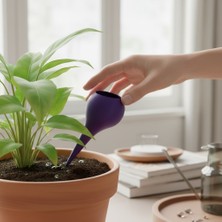 Major Hobi Otomatik Bitki Sulama Aparatı - Saksı Sulama Hunisi ve Dekoratif Çiçek Bakım Seti - Large