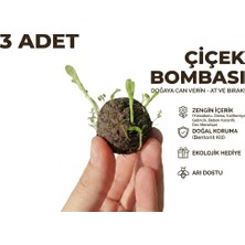 Kaya ve Demir Çiçek Bombası Seti (Seed Bomb) 3 Adet - Doğal Tohum Topu - Tohum Bombası Karışımı