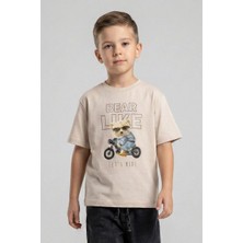 Dmb Boys & Girls Erkek Çocuk Ayıcık Desenli Tshirt Bej 4-9 Yaş