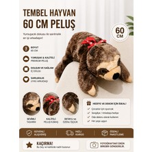 Özel Üretim Orjinal Dev Uyku Arkadaşı Tembel Hayvan 60CM
