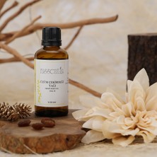 Rassentia Üzüm Çekirdeği Yağı - 50 ml