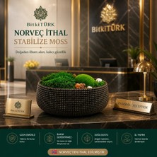 BitkiTÜRK Stabilze Moss Şoklanmış Yosun Canlı Orman Teraryum