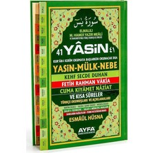 Ayfa Basın Yayın 41 Yasin Yayınları Orta Boy Sert Kapak Kitap Elmalılı Hamdi Yazır'dan 128 Sayfa İçerik