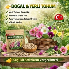 Okacih Hatmi Çiçeği Tohumu Yerli Üretim – Hızlı Çimlenen, Saksı & Bahçe Için, Aromatik Şifalı Bitki Tohumu