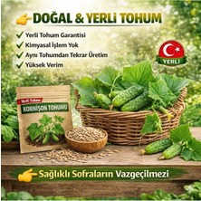Okacih Kornişon Tohumu Yerli Üretim – Hızlı Çimlenen 6-12 Gün, Saksı & Bahçe Için, Aromatik Şifalı Bitki Tohumu
