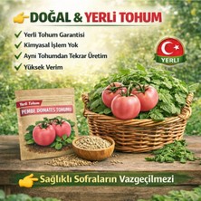 Okacih Pembe Domates Tohumu Yerli Üretim – Hızlı Çimlenen, Saksı & Bahçe Için, Aromatik Şifalı Bitki Tohumu