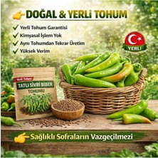 Okacih Tatlı Sivri Biber Tohumu Yerli Üretim – Hızlı Çimlenen , Saksı & Bahçe Için, Aromatik Şifalı Bitki Tohumu
