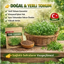 Okacih Tere Tohumu Yerli Üretim – Hızlı Çimlenen, Saksı & Bahçe Için, Aromatik Şifalı Bitki Tohumu