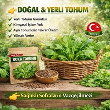 Okacih Roka Tohumu Yerli Üretim – Hızlı Çimlenen 6-12 Gün, Saksı & Bahçe Için, Aromatik Şifalı Bitki Tohumu