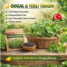 Okacih Semizotu Tohumu Yerli Üretim – Hızlı Çimlenen, Saksı & Bahçe Için, Aromatik Şifalı Bitki Tohumu