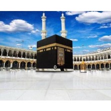 Womb Hobby Kabe Sayılarla Boyama Seti 40 x 50 cm Tuvale Gerili Sanatsal Malzeme Özellikleri