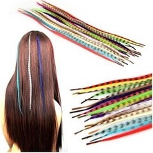 Elasya Hediyelik Hair Feather Saç Tüyü - Asortti