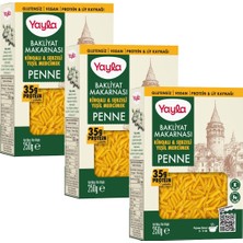 Yayla Kinoalı ve Sebzeli Yeşil Mercimek Penne Bakliyat Makarnası 250 G X3