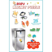 FP2939 Magnet Puzzle