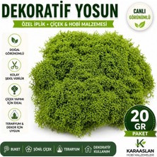Mutkin Doğal Görünümlü Özel İplikten Yosun 20 Gr Orijinal Yeşil Renk | Teraryum, Çiçek Süsleme ve Dekoratif Hobi Malzemesi