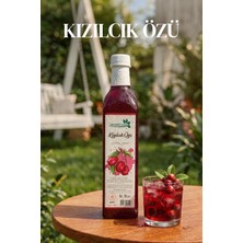 Karadut Dünyası Kızılcık Özü 700 g Türkiye Menşeli Lezzetli Kızılcık Aroması