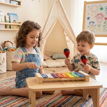 Midex Örf Aletleri Seti Mini Paket Ksilofon ve Marakas Çocuklar için Eğitici Müzik Aleti