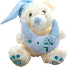 Halley Yastıklı Peluş Ayı 35 cm 62911