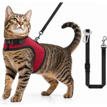 Arnee Kedi Göğüs Tasması Seti 3’lü Air Mesh Ayarlanabilir Emniyet Kemerli Kaçış Önleyici
