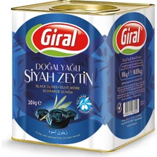 Giral Naturel Gemlik Yağlı Siyah Zeytin Mavi Teneke 261-290 Kalibre