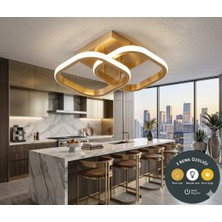 Lzy Avize Store Çift Kare Tasarım LED Eskitme Plafonyer Avize - 3 Farklı Renk Seçeneği ile Şık Koridor Antre Avizesi