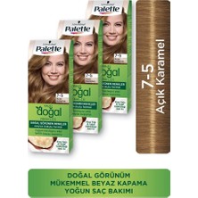 Palette Kalıcı Doğal Renkler Saç Boyası x 3 7-5 Açık Karamel Amonyaksız ve Bitkisel İçerik