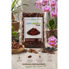 Arkhelais Çam Kabuğu Orkide Toprağı - Ithal - Doğal Saksı Karışımı - 1 Litre