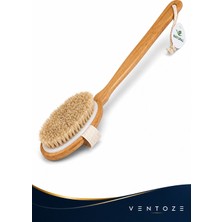 Ventoze Doğal At Kılı Banyo Fırçası – Cilt Yenileyici Kuru Fırçalama & Masaj Fırçası