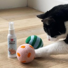 Kikkerland Kiko Spray & Play CAT10