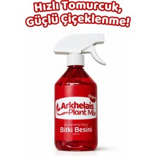 Arkhelais Orkide Besini - Bitki Besini - Hızlı Tomurcuk Etkili - Güçlü Çiçeklenme - 2 Başlık Hediyeli - 500ML