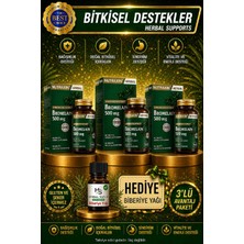 Nutraxin 3 Adet Bromelain 500 Mg 60 Adet Tablet + Hediye Biberiye Yağı