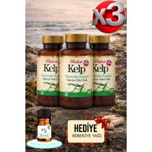 Balen 3 Adet Kelp Ekstraktı ve Selenyum Içeren Kapsül 375 Mg 60 Adet Takviye Edici + Hediye Biberiye Yağı