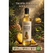 %100 Doğal Ananas Sirkesi – Fermente, Katkısız, Ev Tipi Üretim 500 Ml-(Korunaklıkutu)