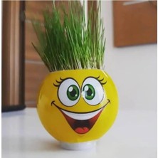 Minopi 1 Kutu Emoji Çim Adam Yapım Seti Okul Eğitici Deney Seti Çim Adam Seti