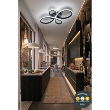 Lzy Avize Store Liya Tasarım Siyah LED Plafonyer Avize - 3 Renk Işıklı Ayarlanabilir Modern Aydınlatma