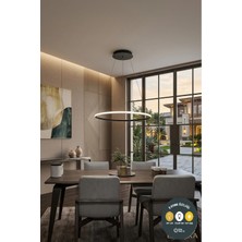 Lzy Avize Store Tekli Halka Siyah LED Sarkıt Avize 3 Renkli Modern Salon & Antre Aydınlatma