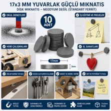 Brc Toptan 10 Adet Mıknatıs 17X3 mm Yuvarlak Güçlü Mıknatıs Disk Mıknatıss