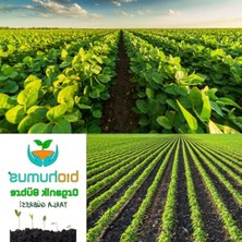 Cekar Store Tarla Için, Organik Gübre, Organik Sertifikalı, Kök Geliştirici, Toprak Düzenleyici, Bitki Besleyici 25 kg (1)