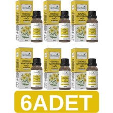 Herbality Ozonlu Kantaron Yağı 50 ml 6*adet
