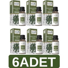 Herbality Okaliptus Yağı 20 ml 6*adet