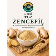 Antioch Farm Toz Zencefil 100 gr
