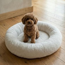 Cekar Store Teddy Donut Şeklinde, Ultra Yumuşak Kumaşlı, Kaydırmaz Tabanlı, Yıkanabilir Kedi ve Köpek Yatağı (Ekru, Medium)